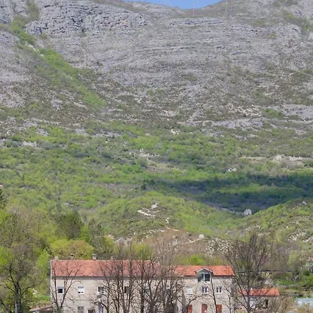 Apartman Jovan Apartament